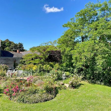 Chambre De Charme Dans Un Jardin De 1500M2 Nueil-sur-Layon Zewnętrze zdjęcie
