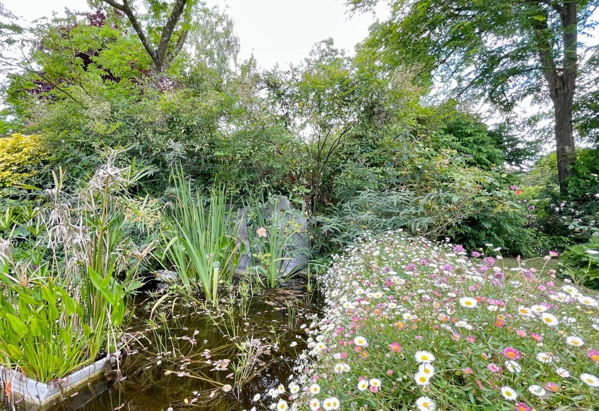 Chambre De Charme Dans Un Jardin De 1500M2 Nueil-sur-Layon Zewnętrze zdjęcie